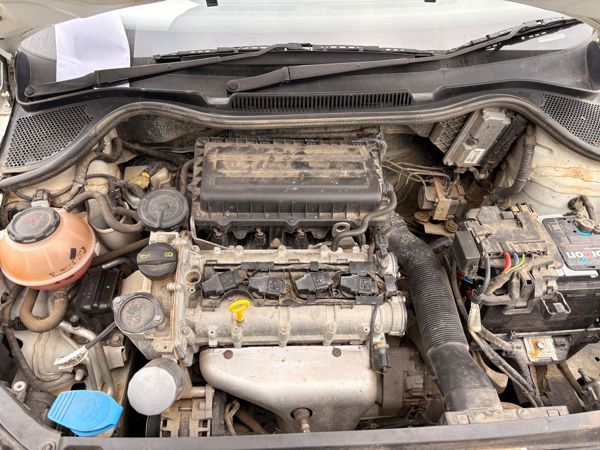 ~/upload/Lots/157809/AdditionalPhotos/exwibaknhgr22/WhatsApp Image 2025-10-23 at 09.08.12 (4)_t600x450.jpg